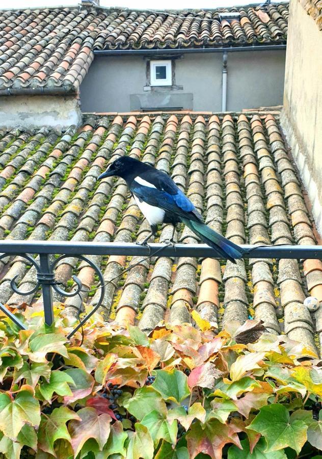 Maison De Maitre A Bram # Jacuzzi Zewnętrze zdjęcie